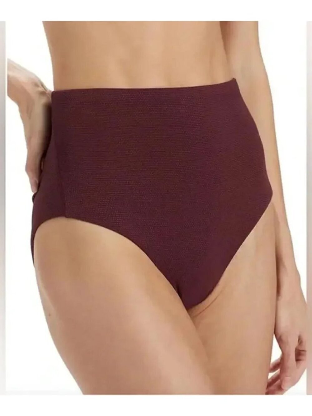 NWT SPANX Hi-Rise Cheeky Bikini Bottoms in Mulberry Small S